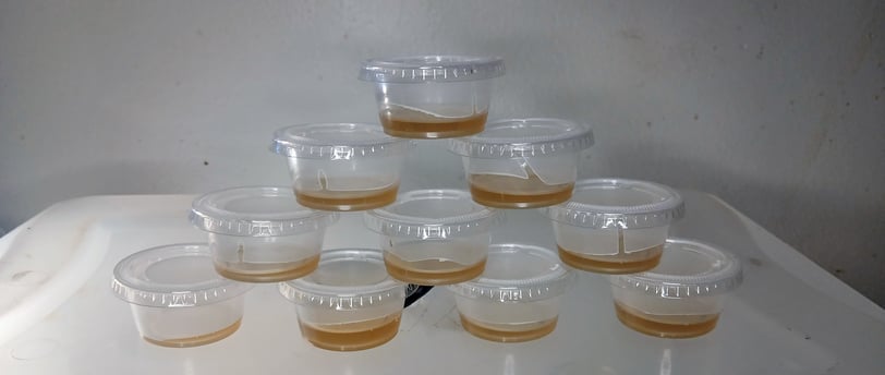 How to make ketchup cup agar for mycology