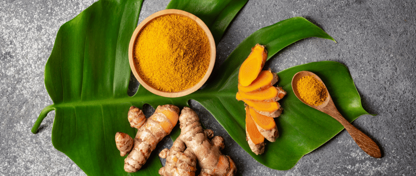 curcuma como tratamento contra o cancer em caes
