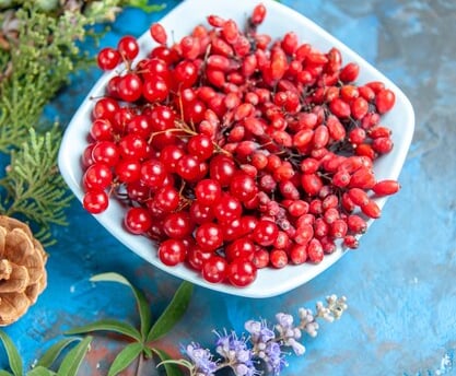 Berberine is a compound found in various plants, including several species of the Berberis genus. 