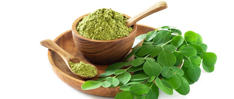 Moringa medicinal plant properties