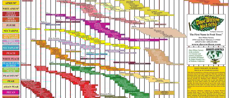 Dave Wilson Nursery ripening calendar chart