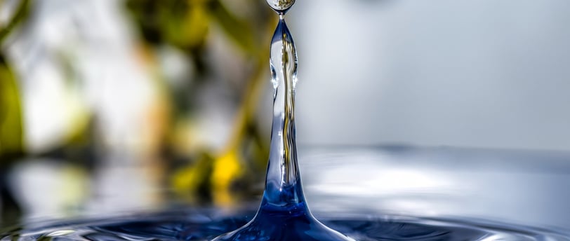 sage-wisdom-water-drop-understanding