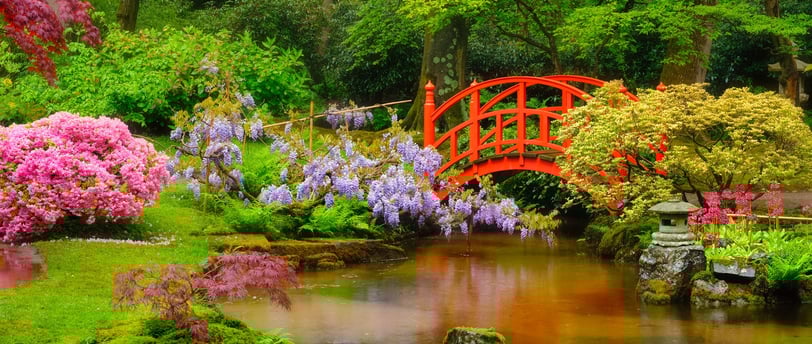 tao-te-ching-book-wisdom-knowledge-understanding
