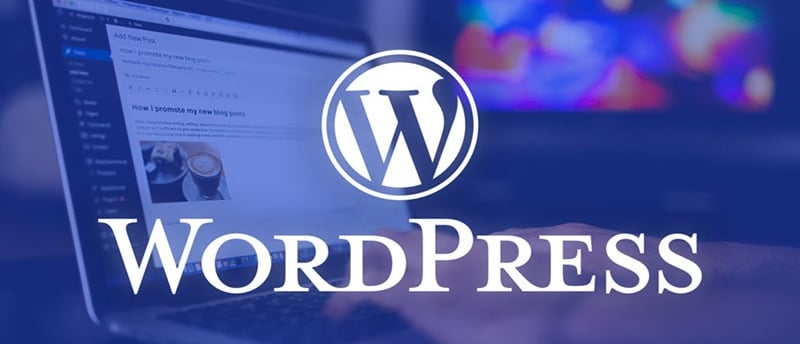 wordpress