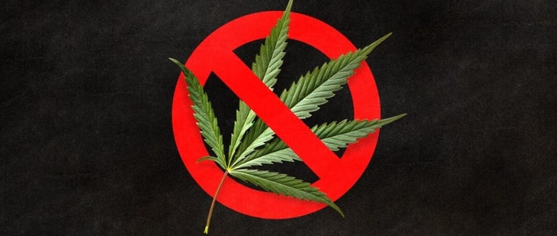 A Hemp plant under a banned icon