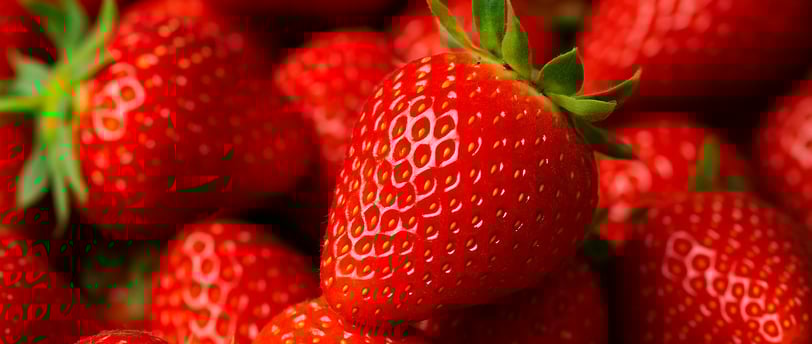 Why Organic Strawberries Are the Healthiest Choice in the U.S.