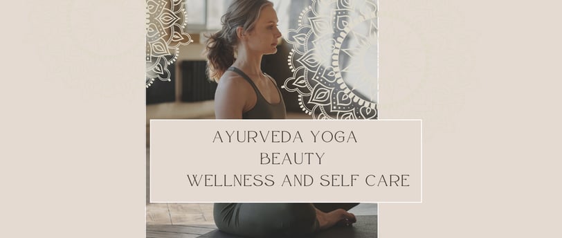 What is Wellness : A Beginners Guide