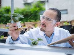 agricultural research