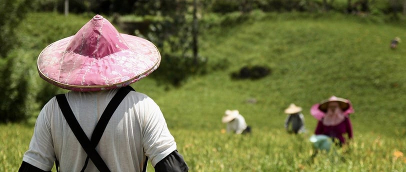 sustainable farming