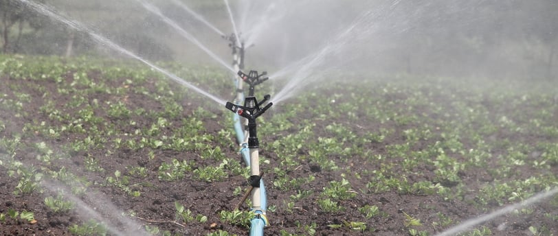 green innovation