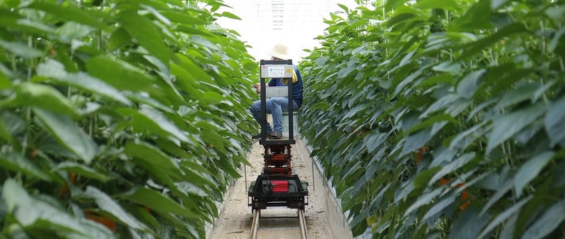 climate smart farming