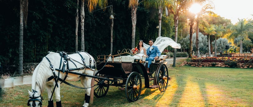 Fotografo de casamento BH