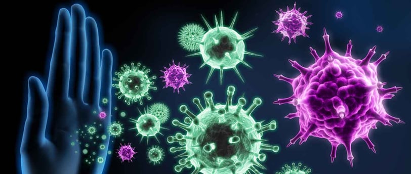 İmmünoglobulin testleri (IgG, IgA, IgM), bağışıklık sisteminin önemli kan testleridir.