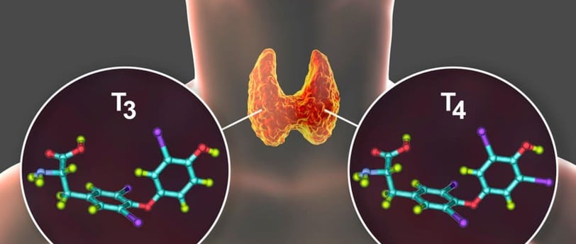 T4 ve T3 Hormonları Nedir? Tiroid Sağlığı İçin Önemi