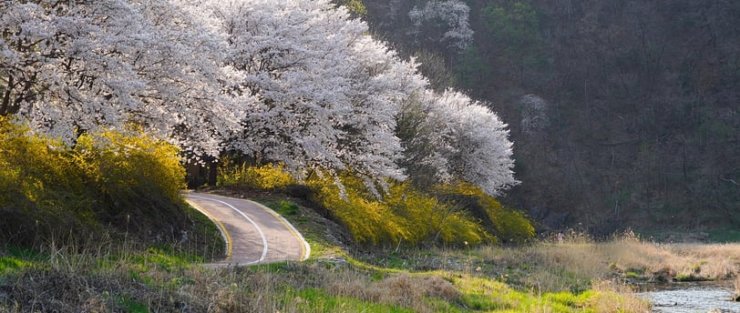 Top vacation spots for May