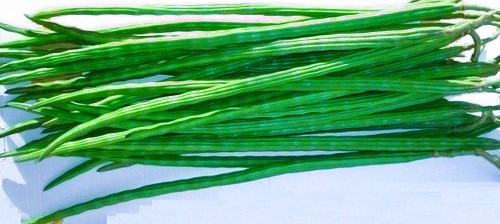 Drumsticks:
