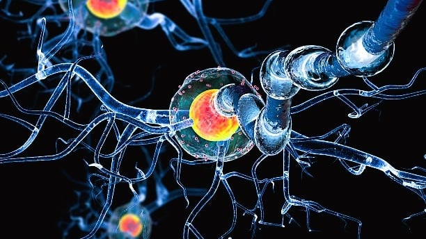 encephalitis