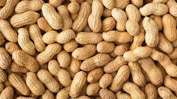 peanuts
