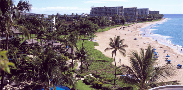 a view of a beach in Hawaii with palm trees and a pool