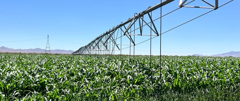 Sistema de riego para la agroindustria
