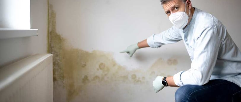 Inspección de vivienda