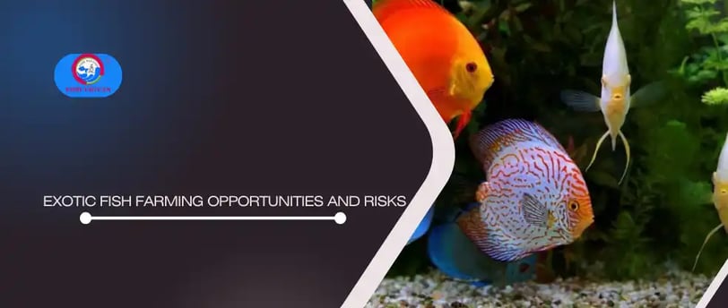 Exotic Fish Farming Opportunities and Risks