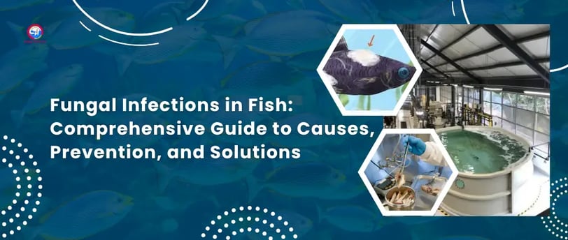 Fungal Infections in Fish: Comprehensive Guide to Causes, Prevention, and Solutions