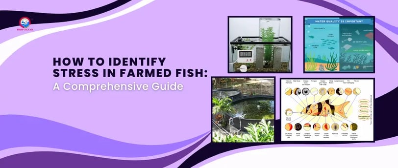 How to Identify Stress in Farmed Fish: A Comprehensive Guide