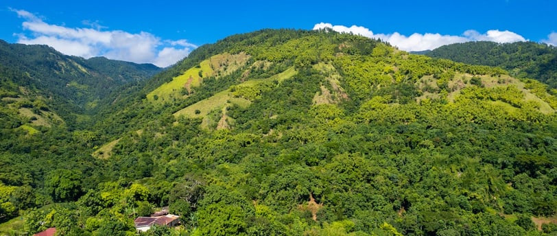 Lush green hills on Montego Bay, Jamaica