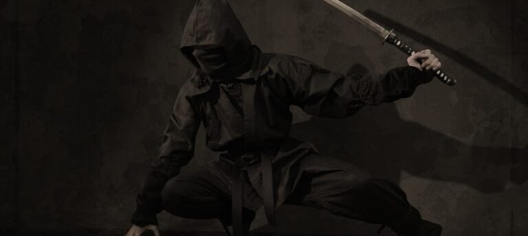 ninja 1
