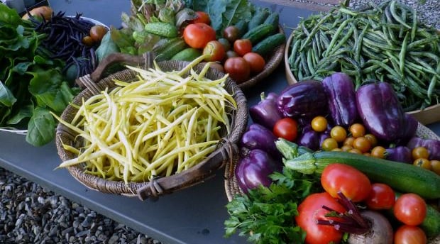 https://i.unu.edu/media/ourworld.unu.edu-en/article/13274/New-Research-Says-Plant-based-Diet-Best-fo