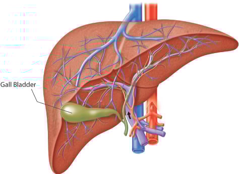 Type 2 Diabetes & Fatty Liver Disease: SGLT2 Inhibitors Show Promise as Top Treatment