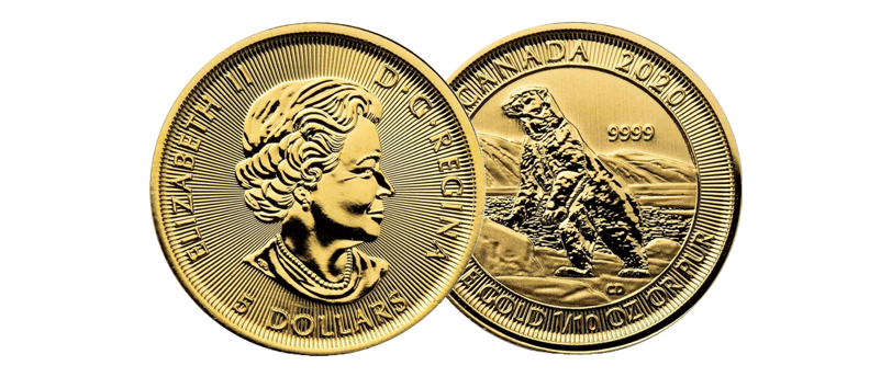 gold canadian polar bear