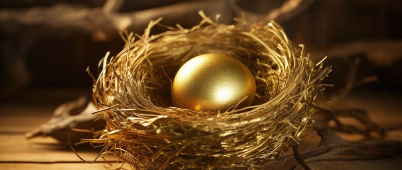 gold retirement nest egg and if its better than a 401k