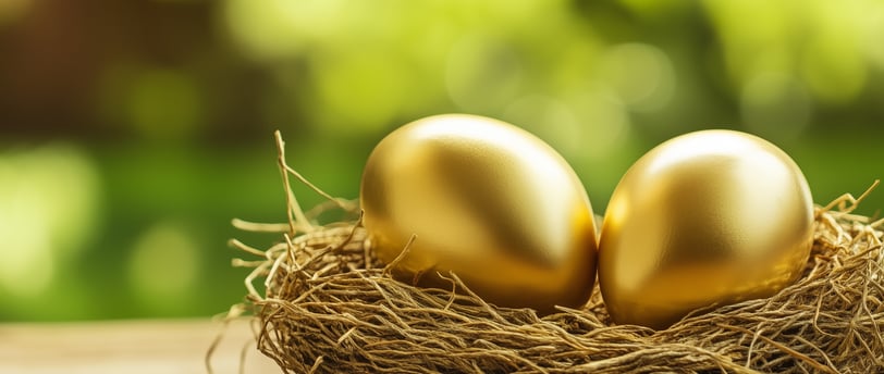 retirement nest egg