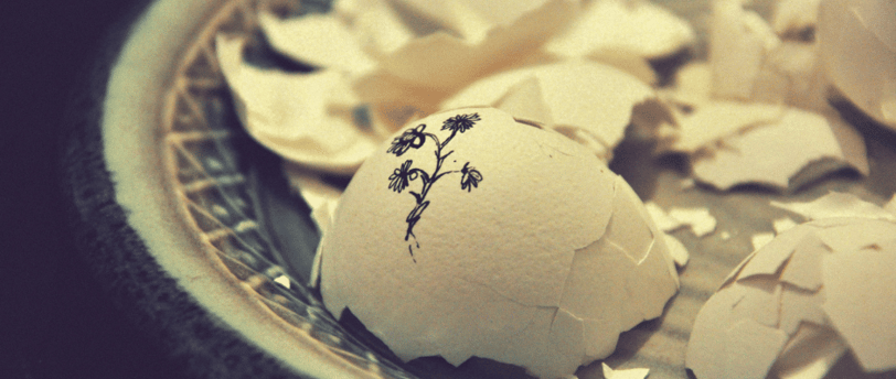 Broken eggshells on a plate, symbol of danger and vulnerability