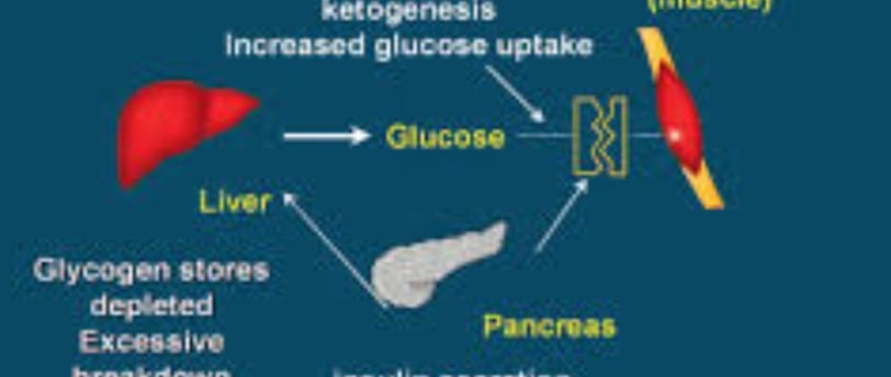 Is Fasting Superior to Medication in Diabetes Management?