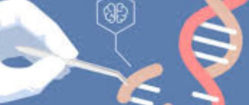 Does fasting change your genes