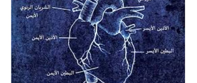 الصيام التطوعي اضطرابات النظم القلبى الفوائد والمخاطر