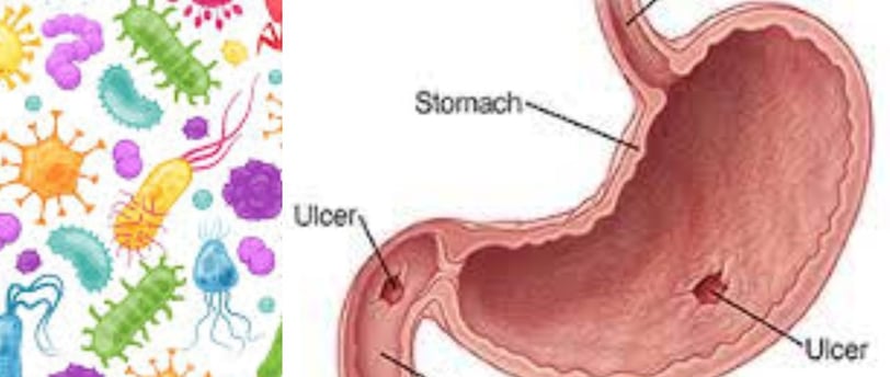 Stomach germ miracle healing of honey Monka honey and fasting