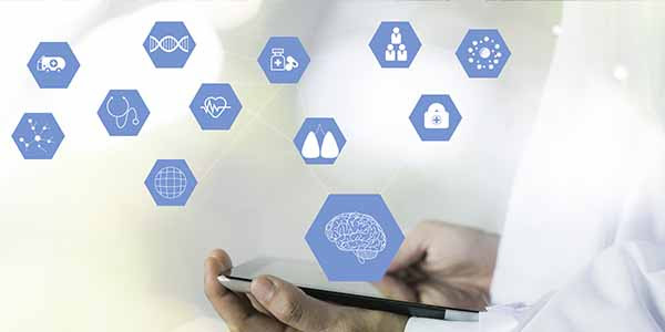 IPJ 24 February 2025 FIP