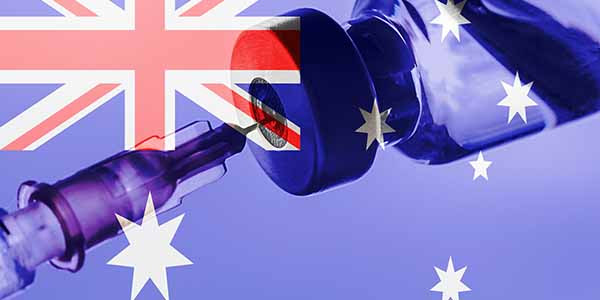 IPJ 24 February 2025 FIP