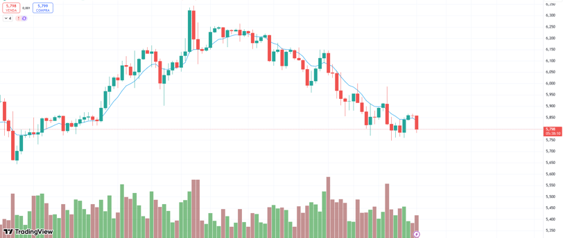 gráfico do dólar.