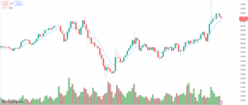 Gráfico com a dominância do Bitcoin
