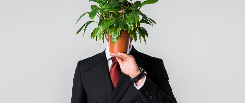 ECOBONUS 2025