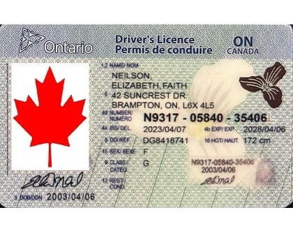 Buy Ontario Fake ID Website