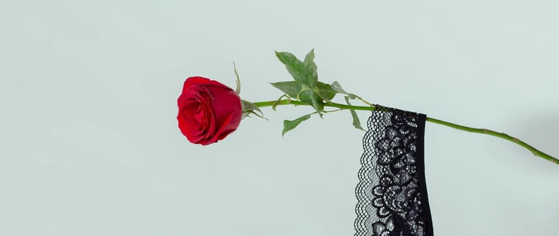 a red rose in a vase with a black lace bra - bra - bra -