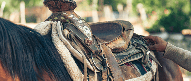 western saddle on a horse