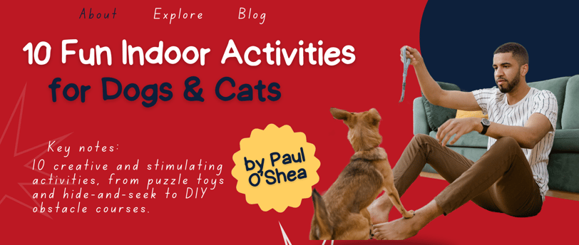 10 fun indoor activities for dogs and cats, Fido's Pet Sitters Lynnwood pet sitters