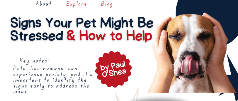 signs your pet might be stressed & how to help, Fido's Pet Sitters Lynnwood pet sitters